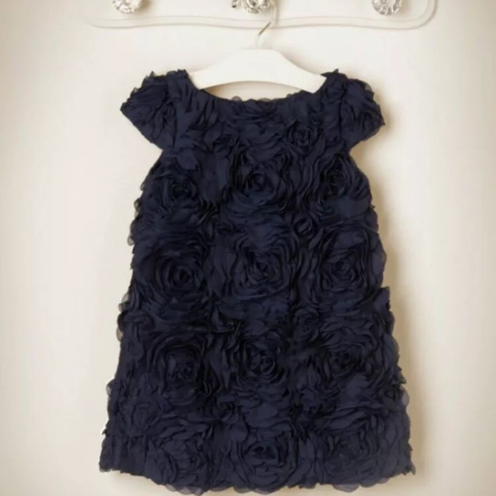 Janie and jack special occasion dress VGUC 18-24
